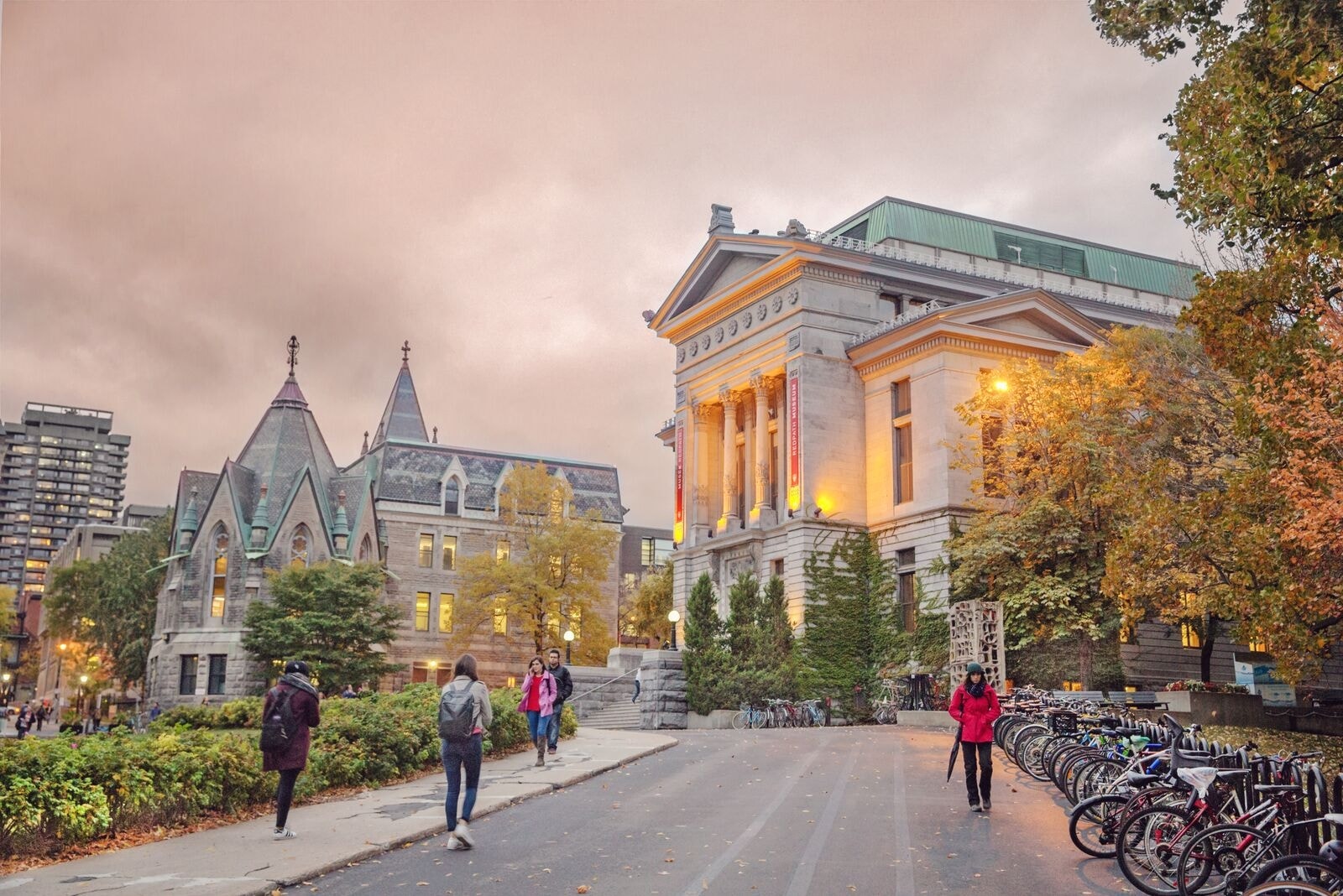 McGill University 5
