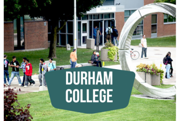 Khám phá chương trình học chuyển tiếp tại Trường Cao đẳng Durham College